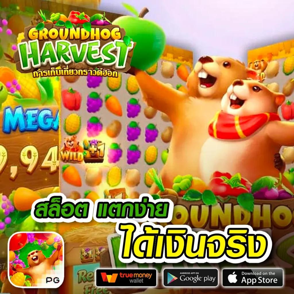บ้านผลบอล2 รวมเกมคาสิโนสด โบนัสแจกจริง ถอนได้ทันที