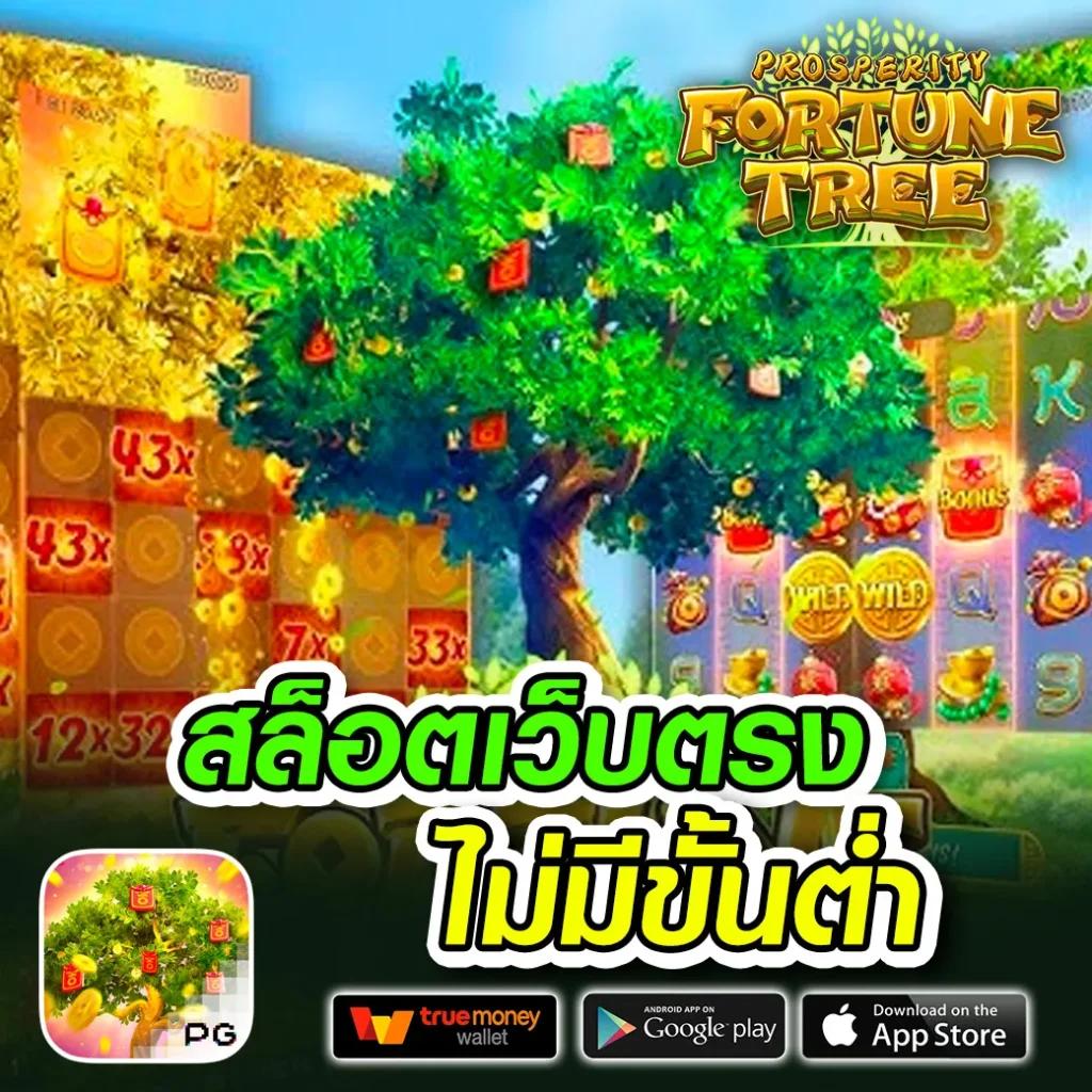 บ้านผลบอลเข้าไม่ได้ ปรับวิธีแก้ไขเข้าระบบได้รวดเร็ว 2024